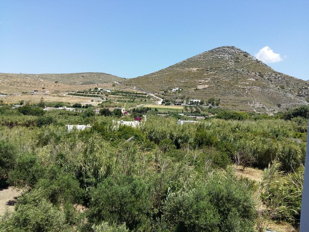 Naxos Olive & Home Engaraí Exterior foto